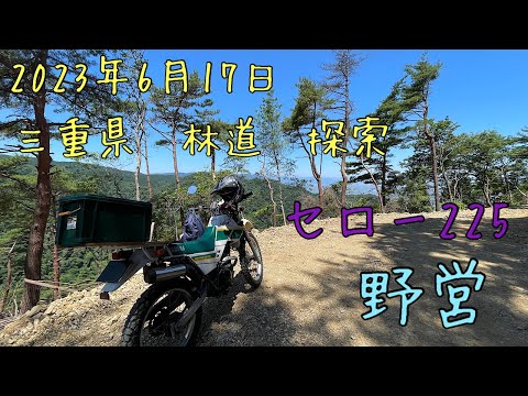 三重県　林道　探索　セロー225野営