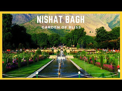 Nishat Bagh: The Jewel of Mughal Gardens in Srinagar #srinagar #gardens #nishatbagh #mughal