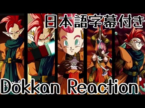 ドッカンバトル LR タピオン&ミノシア リアクション Dokkan LR Tapion&Minotia Reaction