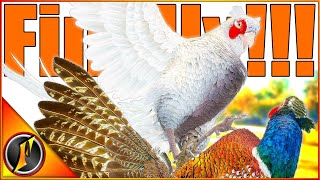 The RARE I've ALWAYS WANTED! | Albino Rooster Pheasant in Call of the Wild!