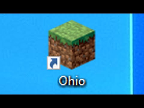 playing ohio in minecraft💀