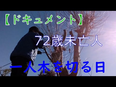 【７０代年金生活】一人暮らしの自宅の庭、自分で木を切る。