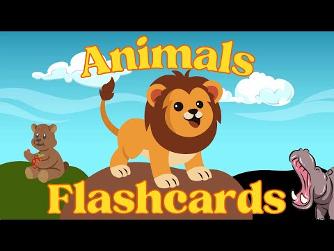 50 Animals of the World | Animals Flashcards | Zoo Animals for Toddlers