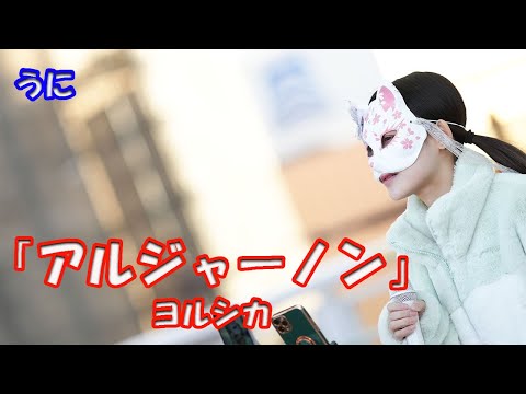 【歌ってみた】うにさん ヨルシカ「アルジャーノン」路上ライブ