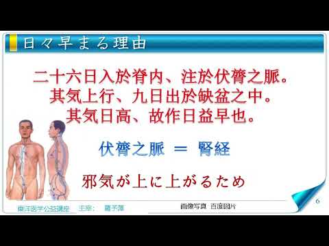 東洋医学公益講座　第316回黄帝内経‗瘧論3