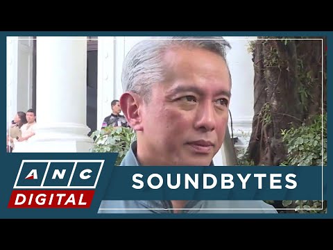 WATCH: DILG's Remulla shares update on arrest of 400 foreign nationals tied to POGO-like firm | ANC