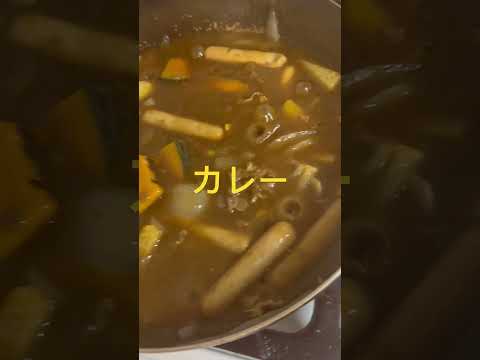 ＜登録者150人目指してます＞カレー