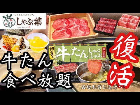 【しゃぶ葉食べ放題】牛たんが食べられるコースが復活♡落ち込んだ33歳がぼっちで鍋とワッフルを堪能して元気を取り戻す動画