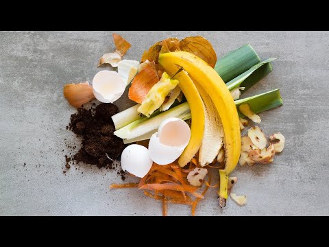 You'll Never Throw Away Vegetable Scraps After Watching This