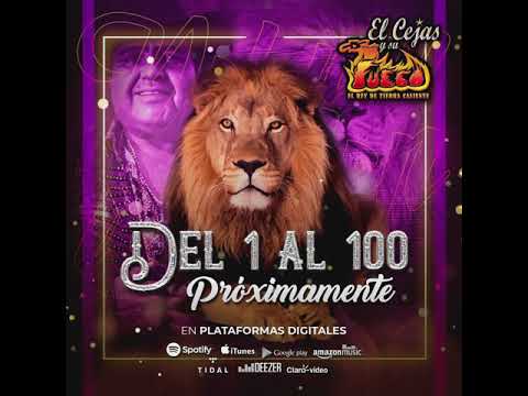 Del 1 al 100 / El Cejas y Su Banda Fuego / Próximamente