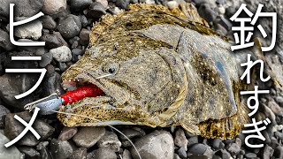 やっぱり、このワームはすごかった、、、【ヒラメ釣り】