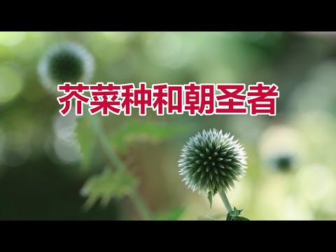 【芥菜种和朝圣者-李晖牧师分享】华牧指纹事工网上聚会信息/Online Gathering Message (CPF) Pastor Hui Li (05/26)