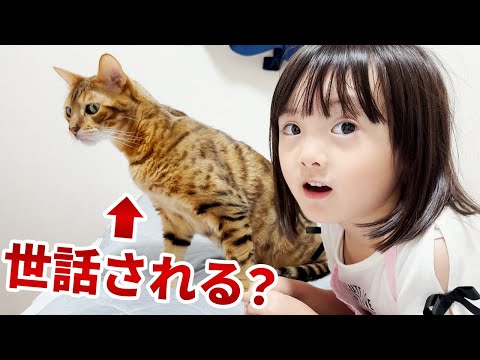 猫を可愛がりたい世話焼き5歳娘。クールな噛みつき兄猫と自由気ままな妹猫、かまってくれるのはどっち？