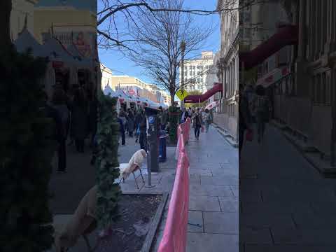 华府节日聚市/ Washington DC Downtown Holiday Market