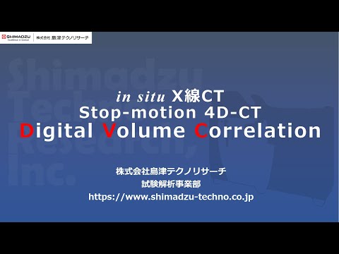 Digital Volume Correlation