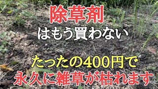 【雑草対策】ドクダミも1日で枯れた｜お花は枯らさず雑草だけを狙って枯らす裏技除草のやり方