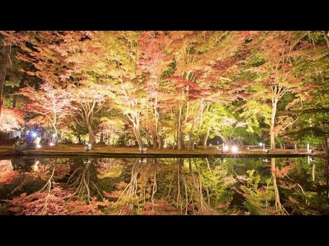 【土岐ぶらキュン】04_中馬街道周辺を散策してみた