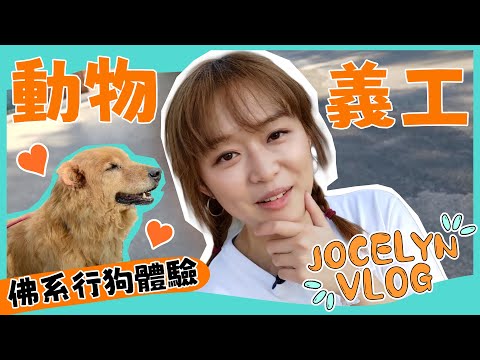 Little Love Vlog｜動物義工｜Jocelyn 佛系行狗體驗 ]🐶✨