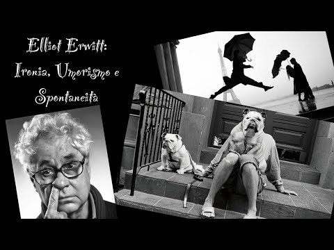 Photography Masters: la spontaneità di Elliot Erwitt [Episodio 1] #fotografia #ElliotErwitt