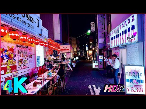 Shimbashi | Japan • Tokyo Walking Tour - Local Nightlife, Salaryman Hotspots & Secret Alleys