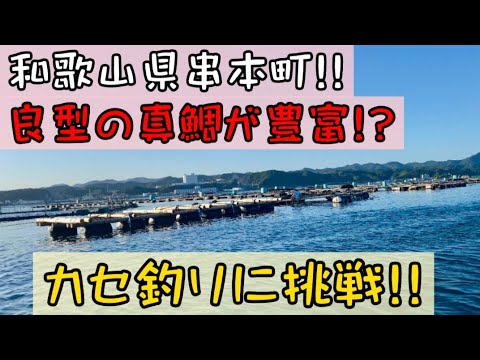 【チヌかかり釣り】和歌山県串本町でオススメの渡船屋カセ釣り