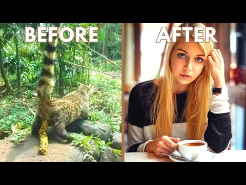 This Is How Kopi Luwak Coffee Is Made, It’s Way Worse Than You Thought!