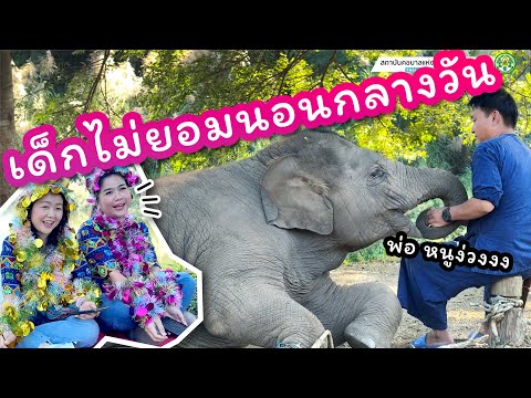 มีนา พาเพลิน 31 ธันวาคม 2567 ผลของการไม่นอนกลางวัน หนูเลยมาง่วงนอนตอนไลฟ์