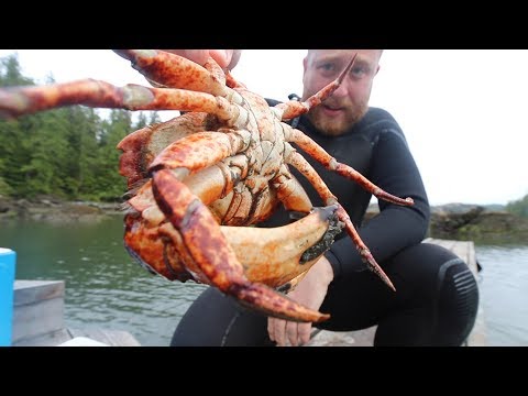 The BEST Damn Crab Ive EVER eaten | John Quilter