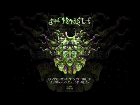 SHPONGLE - DIVINE MOMENTS OF TRUTH