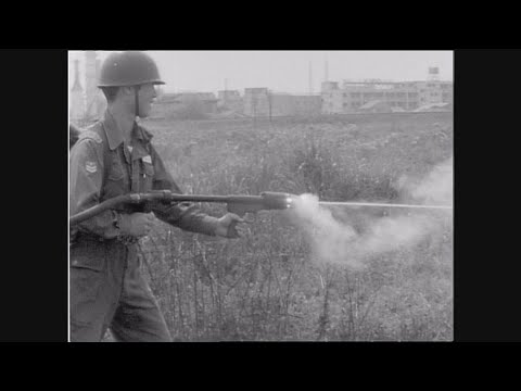 【懐かし映像】火炎放射器で毒蛾駆除　三重県四日市市【放送日1967年5月19日】