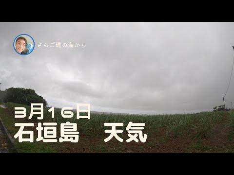 【石垣島天気】3月16日12時ごろ。15秒でわかる今日の石垣島の様子。