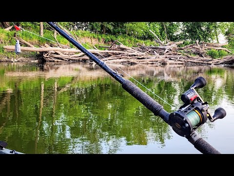 Fishing MONSTER Creek Mouth BRUSHPILES!! (All Night Fishing)