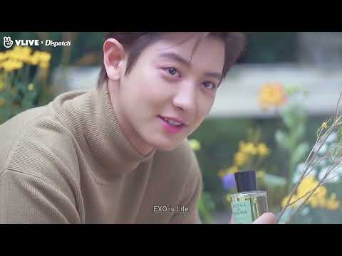 EXO Park Chanyeol (FMV) - A Thousand Years ❤️