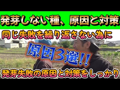 【家庭菜園】種まきして発芽しない時、なにか間違っているかも!?【農業】【播種】【農業初心者】【ガーデニング】【園芸】