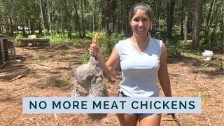 We Butchered Our Chickens | Raising Heritage Chickens for Meat