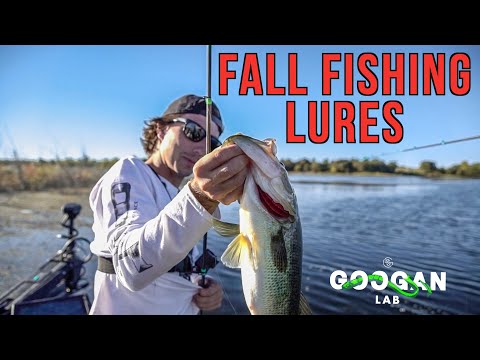 THE BEST Fall FISHING BAITS! ( LUNKERSTV Fishing TIPS )