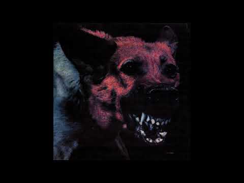 Protomartyr - Violent/I'll Take That Applause (Album Version)