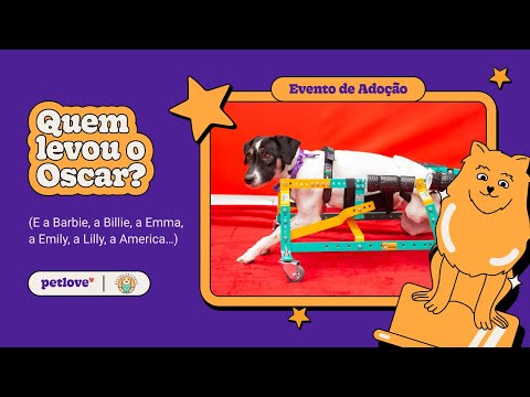 Quem vai levar o Oscar? | Evento de adoção | Petlove & Adotar Patinhas