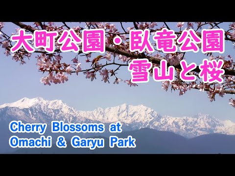 Cherry Blossoms at Omachi & Garyu Park with Relaxing Music ( Nagano ) / Spectacular Views of Japan