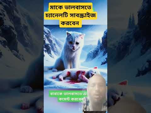 মাকে ভালবাসতে চ্যানেলটি সাবস্ক্রাইব করবেন   #video