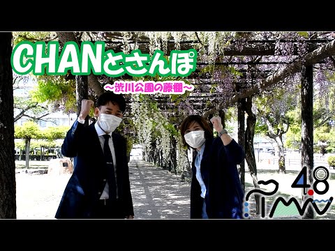 CHANとさんぽ ～渋川公園の藤棚～（ブラタマノ）【TMN4.8】