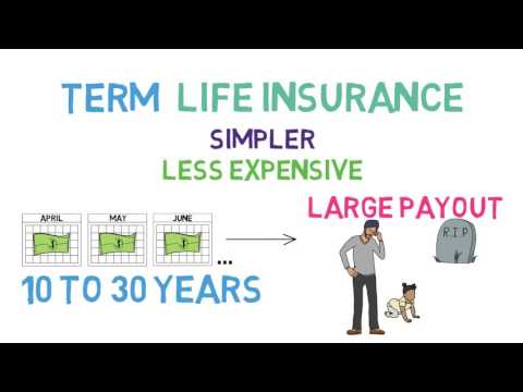 Life Insurance 101 (Life Insurance 1/2; Relationships & Finance 5/8)