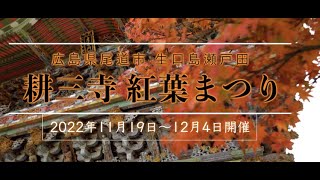 耕三寺「紅葉まつり」（2022年）