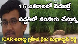 Cultivation of Paddy in 16 Acres By Direct Seeding Method|Vedhajalle Padhathilo Varisagu|వెదసాగు