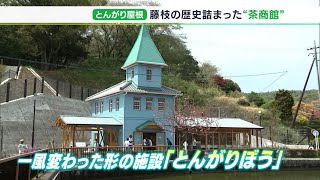 お茶の歴史や名産品 カフェも楽しめる 藤枝市 蓮華寺池公園に新スポット（静岡県）