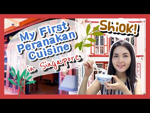 My First Incredible Peranakan Cuisine in Singapore｜第一次吃正宗娘惹菜｜味覺視覺新衝擊｜香港人在新加坡