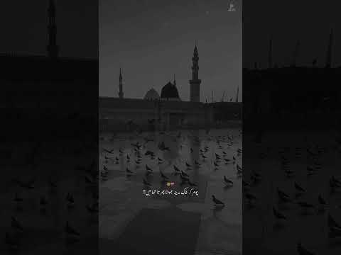 Madina Shareef | Naat | Chum Kr Khak E Madina #jumma #newnaat #eidpoetry #islamicsong