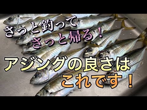 【アジング】さっと釣ってさっと帰る！アジングの良さはこれですｗ