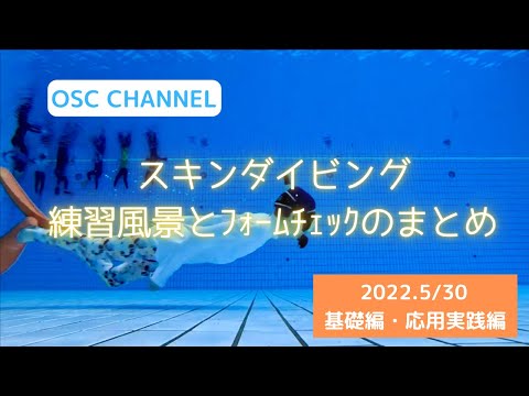 ドルフィンスイムに必要な練習とは！？ヘッドファースト（ジャックナイフ）だけじゃない！？OSCスキンダイビング講習会（基礎編・応用実践編）の練習風景（フォームチェック動画） in 東京辰巳国際水泳場