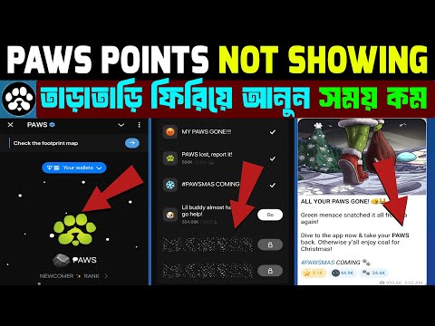 ALL YOUR PAWS GONE 😭 How To Back Your Paws Point | Paws New Update Today | Paws Airdrop Update